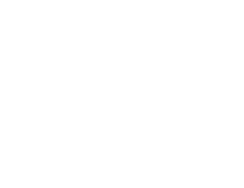 Magnum Pub